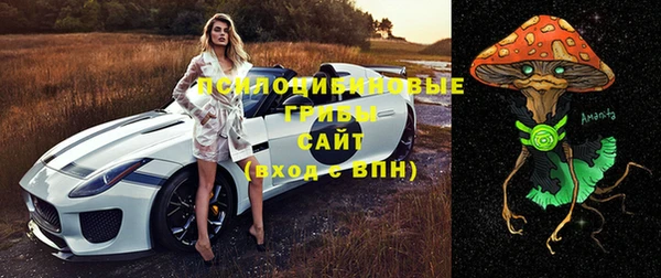 ПСИЛОЦИБИНОВЫЕ ГРИБЫ Балабаново