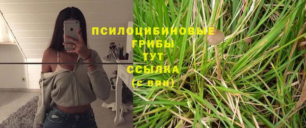 трава Баксан