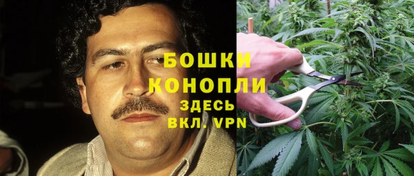 ПСИЛОЦИБИНОВЫЕ ГРИБЫ Балабаново
