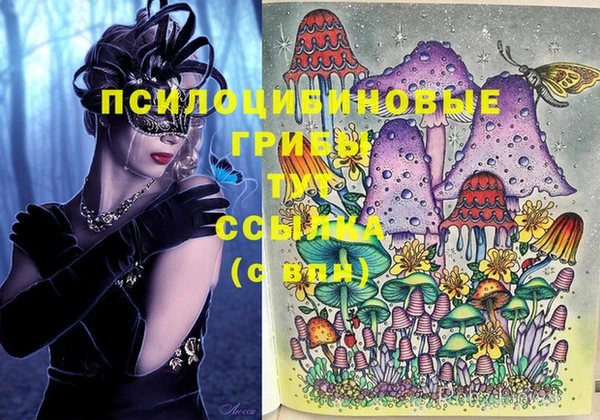 эйфоретик Пестово